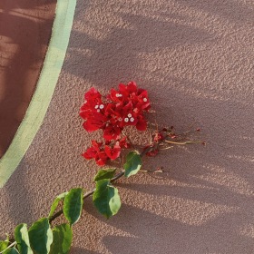 万物皆静