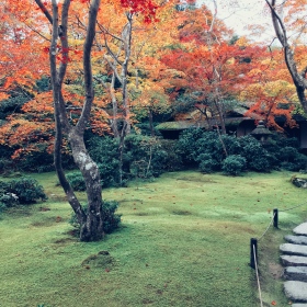 秋水
