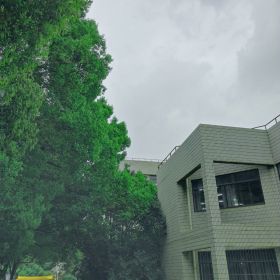 落叶知秋