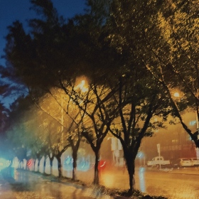 《雨》
