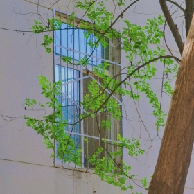 GREEN