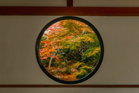 言葉之庭 | 京都的秋天
