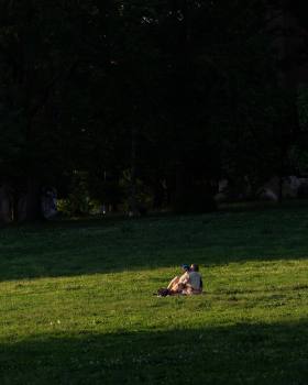公园里的情侣们 | 摄影师Kyungjun Lee