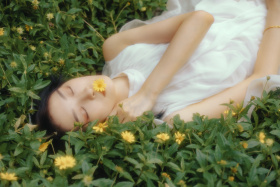 当繁华开尽