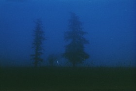 迷雾 