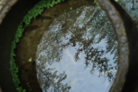 雨后