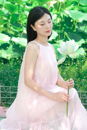 盛夏｜荷花