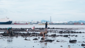 海岛随拍