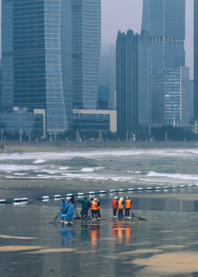 海滩清道夫