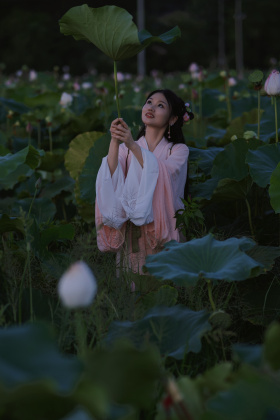 莲花朵朵碧云天，信步荷塘赏斗研。玉蕊含羞惊雨露，娇柔欲滴美人怜