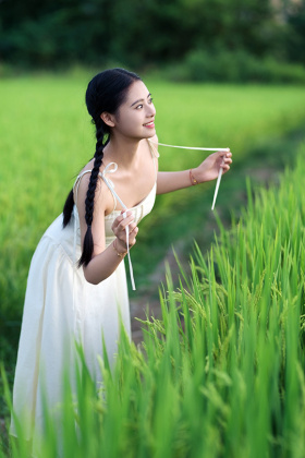 夏天的快乐就是出城就有稻田