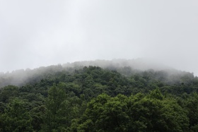 静谧的雨天