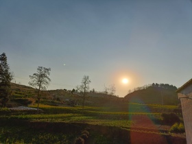 花开明月