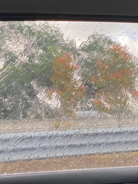 雨