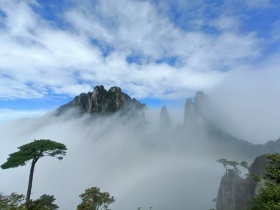 风景