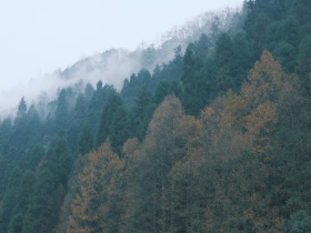 瓦屋山