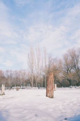 旧时光，融了雪