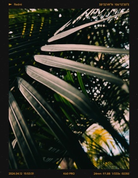 光