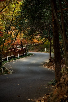 栖霞下山路