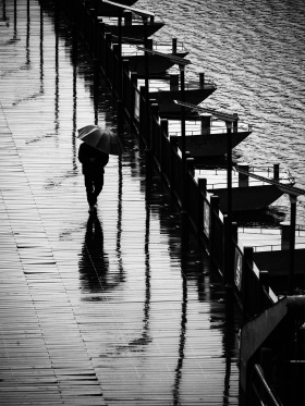 雨中