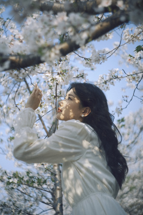 春日早樱