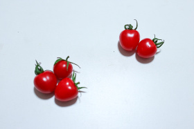 盛夏的果实
