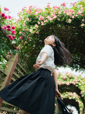 蔷薇