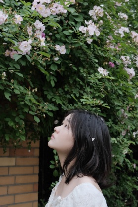 见花则囍，花落成诗