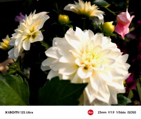 四月里群花争艳
