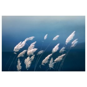 简单风景