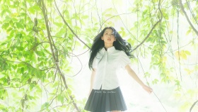 森