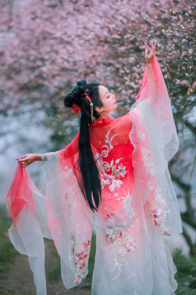 乌梅花开