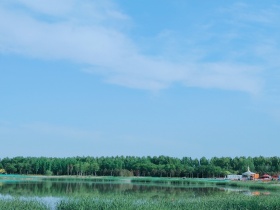 你好五月