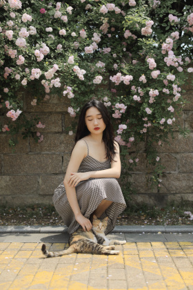 花开漫天，落英缤纷