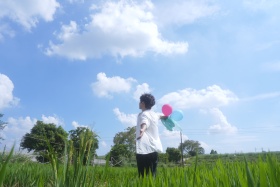 Summer Rice field