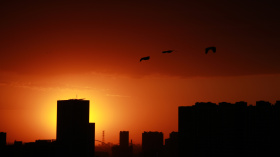 夕阳