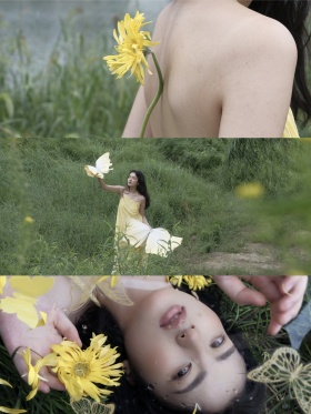 夏之梦