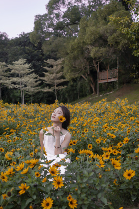 悲喜自渡 人人皆孤岛