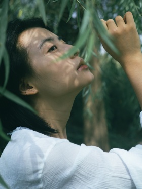 我的盛夏最终像失语的蝉陨于绿野