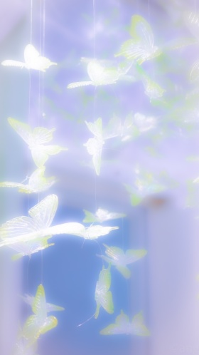 蝴蝶