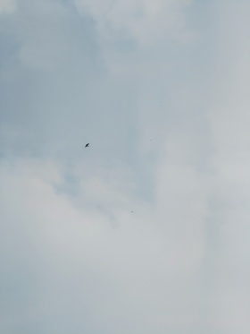 恋空