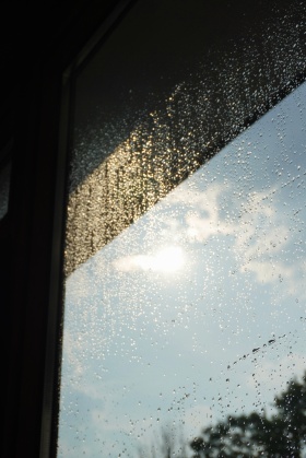 夏日雨后