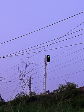 紫