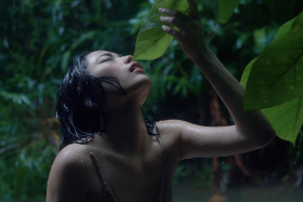 雨中曲