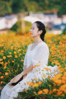 小黄花