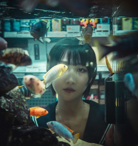 水族馆时光