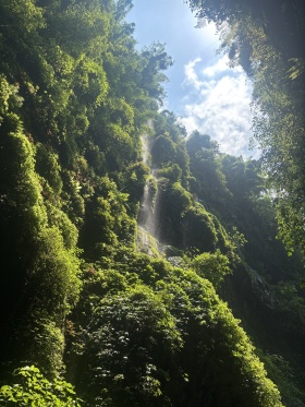 森林