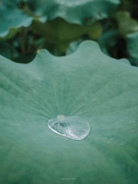 雨洗过的夏天