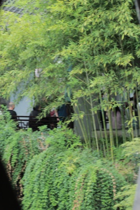 苏州狮子林
