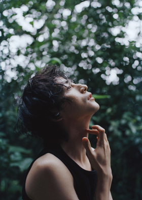所有的叶子都低垂